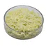 6-Gingerol